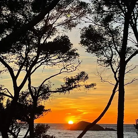 Cocody Apartment Bandol