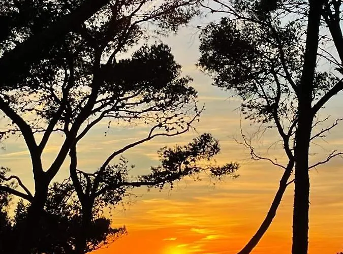 Cocody Apartament Bandol